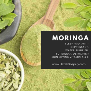 Hazel’s Soapery Ingredients: What is Moringa?