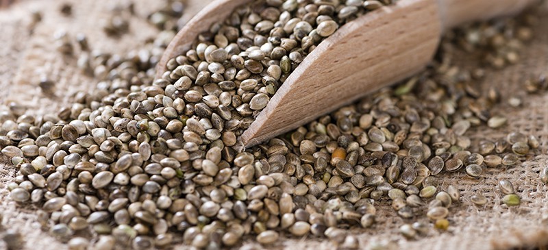 t I am in the process of creating a New Product. I wanted to share it with you. Hemp Hair Food - Coming Soon!