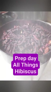 How we use Hibsicus at Hazels Soapery