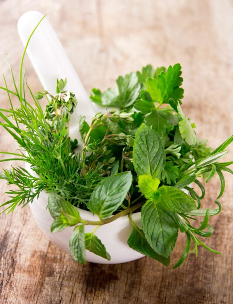 fresh herbs for Hazel's Soapery post